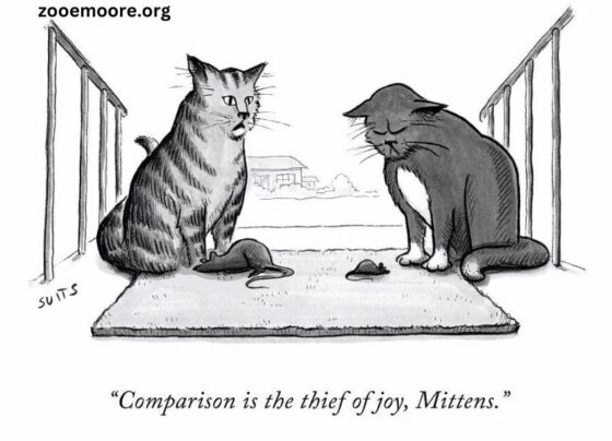 Comparison Is the Thief of Joy