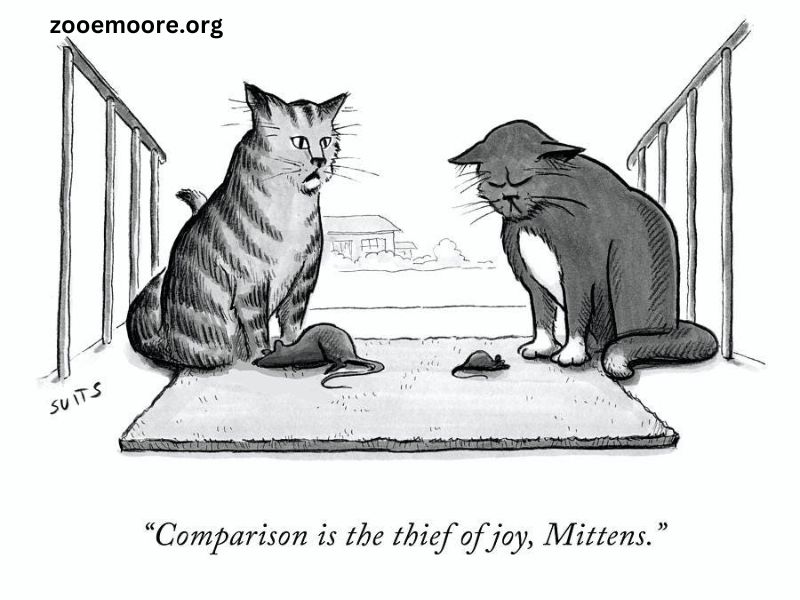 Comparison Is the Thief of Joy