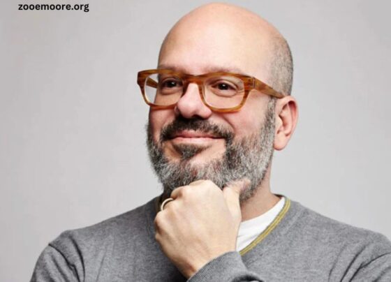 David Cross Movies and TV Shows