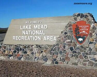 Lake Mead National Recreation Area News