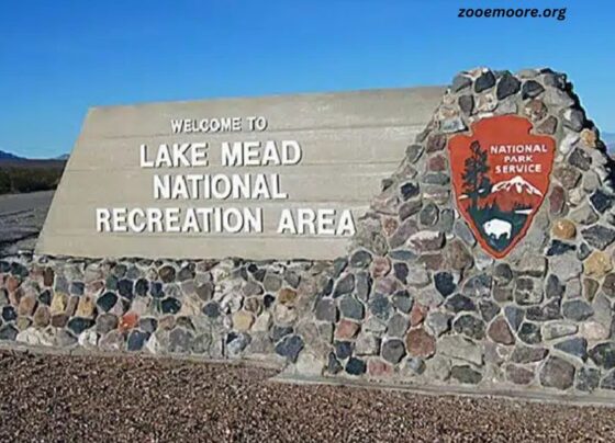 Lake Mead National Recreation Area News