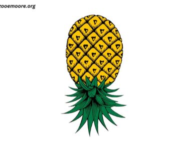 What Does an Upside Down Pineapple Mean