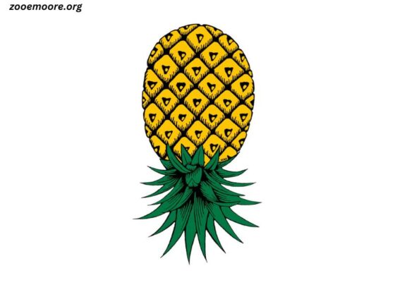 What Does an Upside Down Pineapple Mean