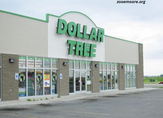 What Time Does Dollar Tree Open