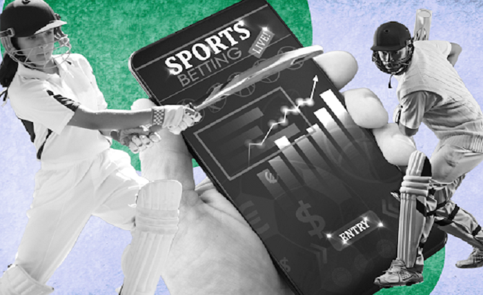 Main Tips to Consider When Betting on Live Cricket